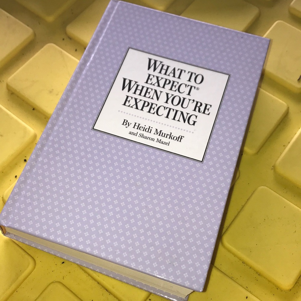 What to expect when you’re expecting book
